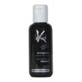 Color Revive Colour Shampoo Sweet Chestnut  125ml  £13.95 image