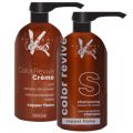 Color Defence Colour Shampoo And Conditioner Copper (copper Flame) Combo Offer  1000ml  £175.00 image