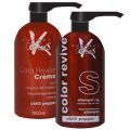 Color Defence Crimson Combo Offer ( Color Revive Chilli Pepper)  1000ml  £175.00 image